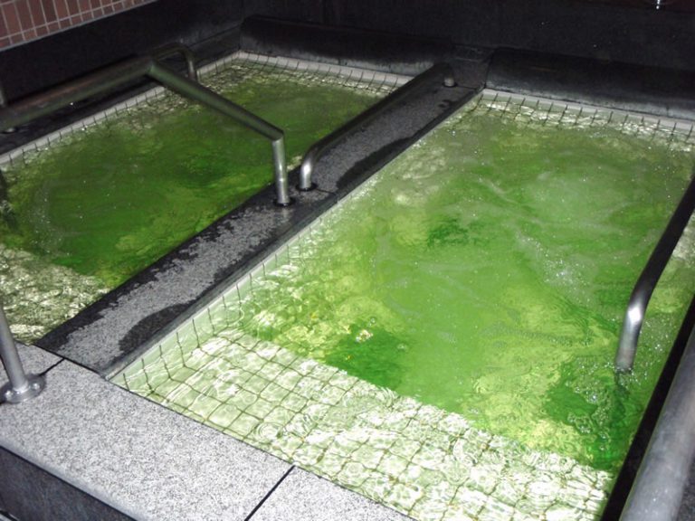 天童最上川温泉ゆぴあ 県内屈指の広さの露天風呂で300円