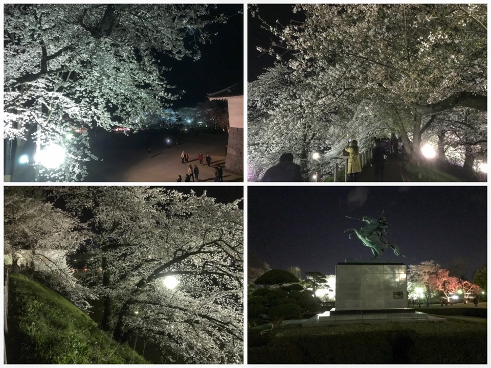 霞城公園 山形で1番人気のお花見スポット 1番綺麗な夜桜を見る